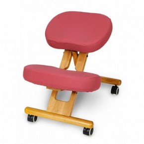 Коленный стул Smartstool KW02 + Чехлы в Чебаркуле - chebarkul.mebel-74.com | фото