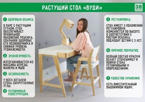 Комплект растущий стол и стул 38 попугаев «Вуди» (Серый, Без покрытия) в Чебаркуле - chebarkul.mebel-74.com | фото