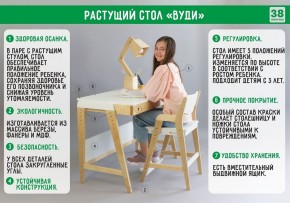 Комплект растущий стол и стул с чехлом 38 попугаев «Вуди» (Белый, Береза, Ромбы) в Чебаркуле - chebarkul.mebel-74.com | фото