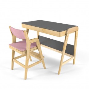 Комплект растущий стол и стул с чехлом 38 попугаев «Вуди» (Серый, Береза, Розовый) в Чебаркуле - chebarkul.mebel-74.com | фото