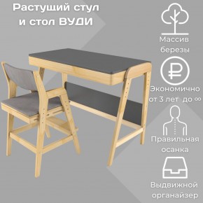 Комплект растущий стол и стул с чехлом 38 попугаев «Вуди» (Серый, Без покрытия, Серый) в Чебаркуле - chebarkul.mebel-74.com | фото