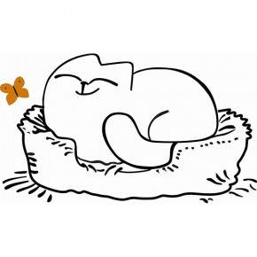 Кровать двухуровневая Кот № 900.1 ЛЕВАЯ (туя светлая/белый) в Чебаркуле - chebarkul.mebel-74.com | фото