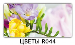 Обеденный раздвижной стол Бриз с фотопечатью Цветы R044 в Чебаркуле - chebarkul.mebel-74.com | фото