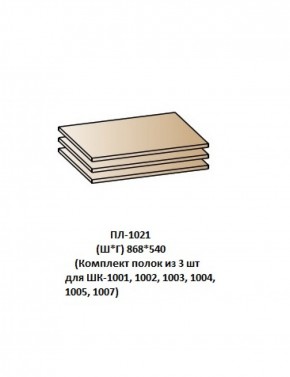 ПЛ-1021 (Комплект полок из 3 шт для ШК-1001, 1002, 1003, 1004, 1005, 1007) в Чебаркуле - chebarkul.mebel-74.com | фото