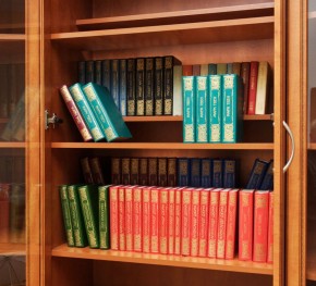 Шкаф для книг арт. 200 в Чебаркуле - chebarkul.mebel-74.com | фото
