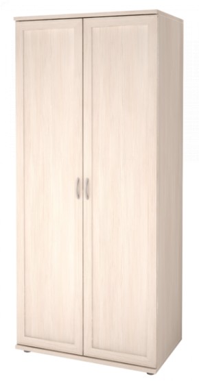Шкаф для одежды 2-х дверный Ника-Люкс 21 в Чебаркуле - chebarkul.mebel-74.com | фото