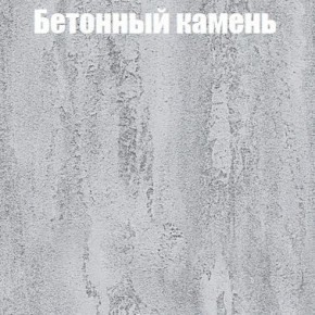 Шкаф-купе Бассо 1.0 (Дуб Крафт серый/Бетонный камень) 2 двери ЛДСП в Чебаркуле - chebarkul.mebel-74.com | фото
