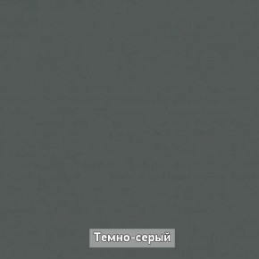 Шкаф купе без зеркала "Ольга-Лофт 10.1" в Чебаркуле - chebarkul.mebel-74.com | фото