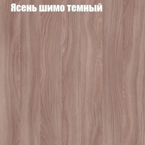 Шкаф-купе «ТАНДЕМ» 2-х дверный в алюминиевом профиле (Дверь ЛДСП+ЛДСП) 1600/h2200 в Чебаркуле - chebarkul.mebel-74.com | фото