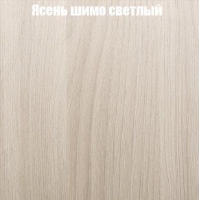 Шкаф-купе «ТАНДЕМ» 2-х дверный в алюминиевом профиле (Дверь ЛДСП+ЛДСП) 1800/h2200 в Чебаркуле - chebarkul.mebel-74.com | фото