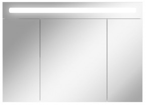Шкаф-зеркало Аврора 100 с подсветкой LED Домино (DV8012HZ) в Чебаркуле - chebarkul.mebel-74.com | фото