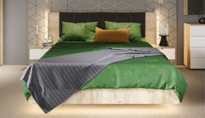 Спальня Джулия Кровать 160 МИ с подъемным механизмом Дуб крафт серый в Чебаркуле - chebarkul.mebel-74.com | фото