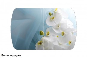 Стол Бостон 900*600 (опоры Брифинг) Стекло/фотопечать Белая Орхидея в Чебаркуле - chebarkul.mebel-74.com | фото