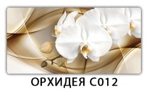 Стол раздвижной Трилогия с фотопечатью Орхидея C012 в Чебаркуле - chebarkul.mebel-74.com | фото