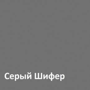 Юнона Шкаф торцевой 13.221 в Чебаркуле - chebarkul.mebel-74.com | фото