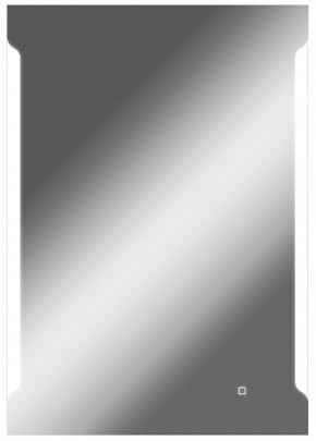 Зеркало Оттава 1000х700 с подсветкой Домино (GL7028Z) в Чебаркуле - chebarkul.mebel-74.com | фото